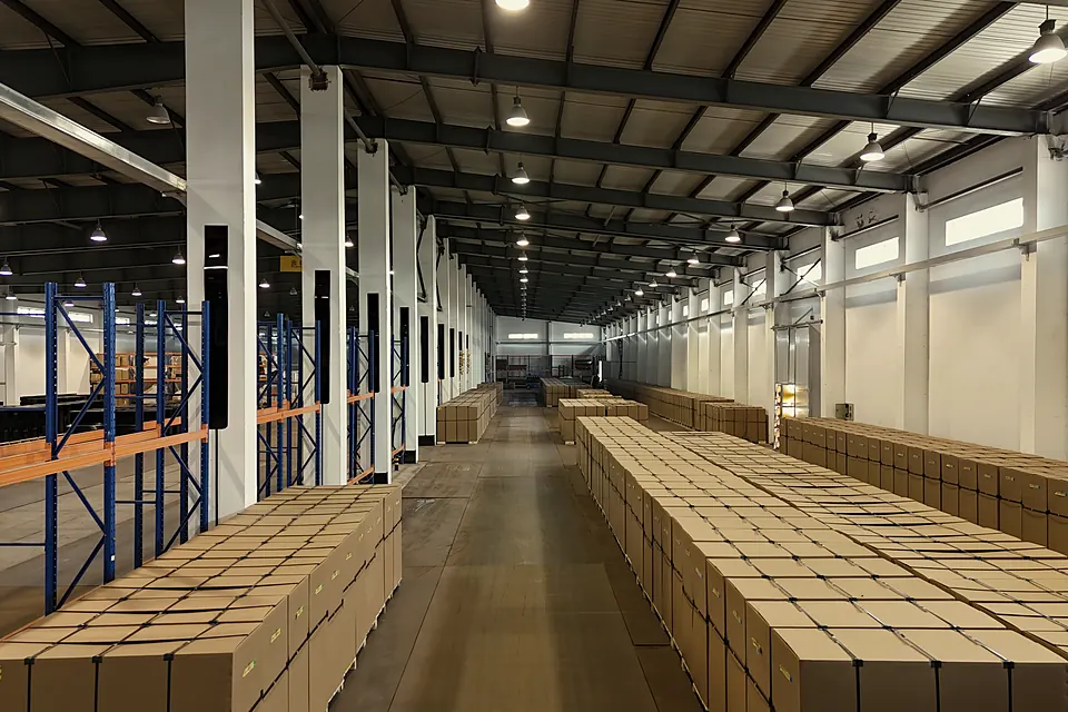 Packed cartons lined up in the warehouse